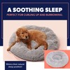Active Pets Medium Dog Bed, Calming Orthopedic Pet Bedding for