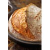 Great Grandmas EASY Sourdough Starter Heritage San Francisco - Live