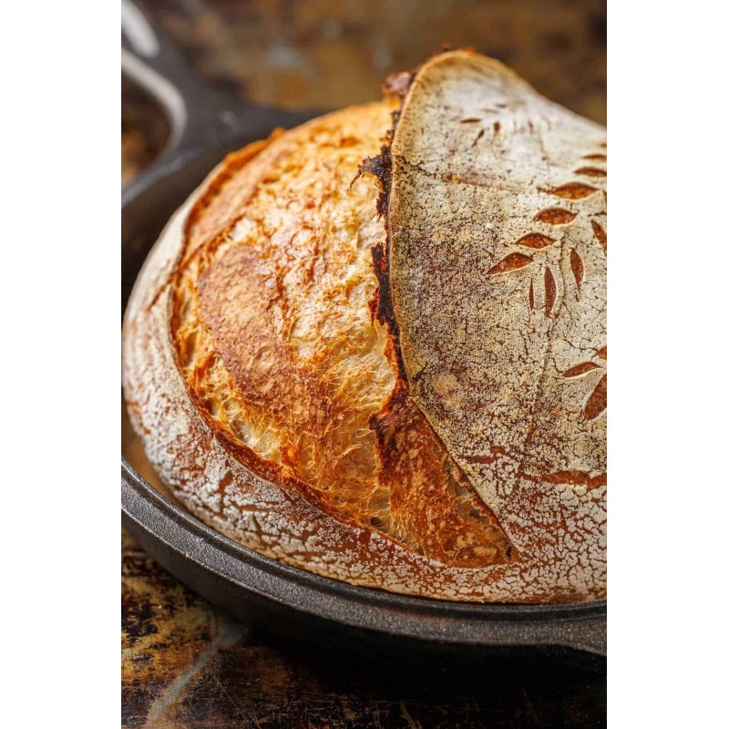 Great Grandmas EASY Sourdough Starter Heritage San Francisco - Live