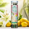 NEW Scentsicles Lemons n Lilies Scented Sticks with 2 Scenter