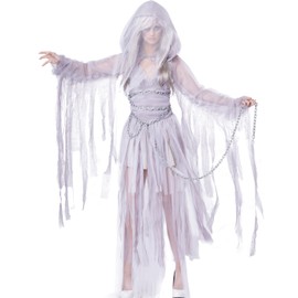 Women's Haunting Beauty Costume Medium Silver
