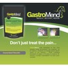 GastroMend® Horse Ulcer & Gut Health Supplement – 100% Natural
