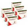 Ampitrexyl 500mg Suplemento Herbario Soporte Inmune 6 Pack
