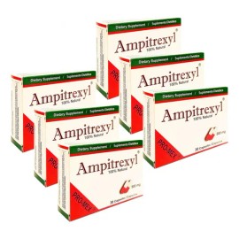 Ampitrexyl 500mg Suplemento Herbario Soporte Inmune 6 Pack