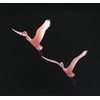Flamingo Duo Mobile Sculpture From John Perry 8in Wing Span
