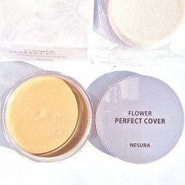 My Mom Partner Company Flower Grandma Cosmetics 23g Mom Black Blemish Natural Cover All-in-One Foundation Concealer Bright Beige / 플라워 할머니 화장품 23g 엄마 검은 잡티 자연 커버 올인원 파운데이션 컨실러 화사한베이지