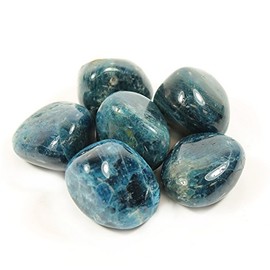 Blue Apatite Extra Grade Tumble Stone (20-25mm) - Single Stone