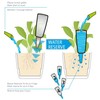 Scheurich Nelly Water Dispenser, 2 x Green, 110 ml Capacity,