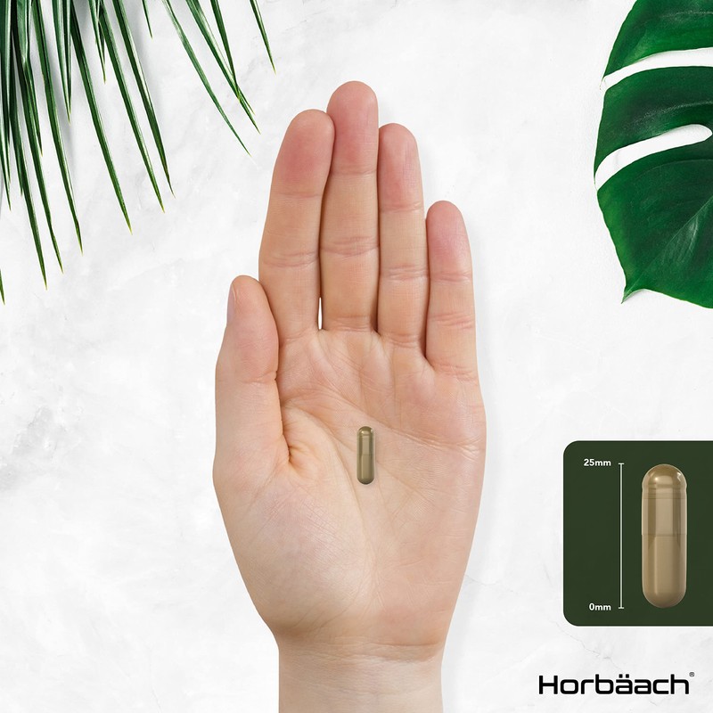 Artichoke Extract Capsules | 4000mg High Strength Leaf | 200