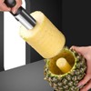 AIMALL Easy Pineapple Corer Slicer Peeler, Stainless Steel Cutter Tool,