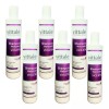 Vittale Shampoo Matizador Violeta Cabello Rubio 320ml 6 Pzs