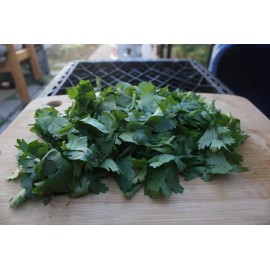 Fresh 500 Fresh Cilantro/Coria