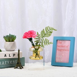 RAKSONIC Colored Glass Bud Vase,Hydroponic Vase Office Bonsai Air Plant Vase，Decorative Table Floral Vase for Wedding Centerpieces, Office, Rustic Home Decor