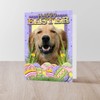 CafePress Easter Egg Cookies Golden Folded Greeting Card Glossy