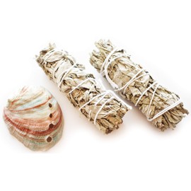Mini Smudge Kit: Genuine Abalone Shell and Two 4" California White Sage Sticks Positive Energy & Purification