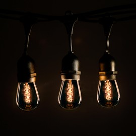 Hometown Evolution, Inc. 24 Foot E26 Commercial Outdoor Edison Bulb String Lights with Suspended Sockets (24 Foot 12 Socket, S14 Zig Zag Edison 11 Watt Bulbs)