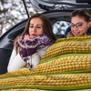 Corn Blanket Funny Food Throw Blanket for Sofa Chairs Bed,