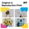PPD 25 Sheets A4 Inkjet Fine Art Watercolour Giclee Archival