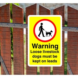 Safety First Display LTD Warning loose livestock dogs must be on leads sign - 1.2mm Rigid plastic for indoor/outdoor usage (300mm x 200mm) Viewing Distance within 7m.
