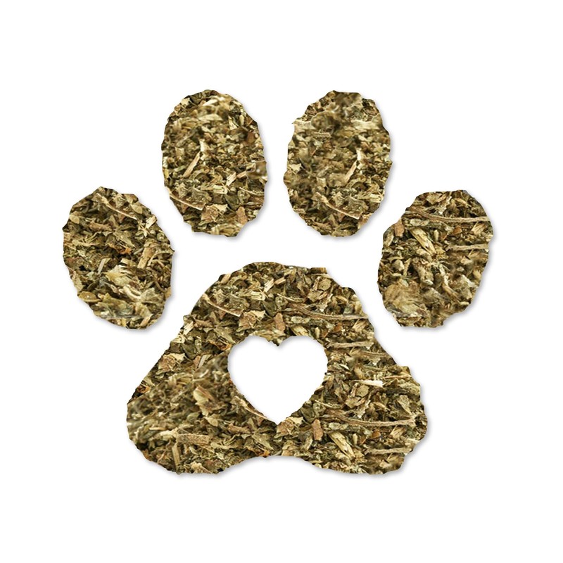 SunGrow Catnip for Cats, for Scratching Posts, Walls, or Pads,