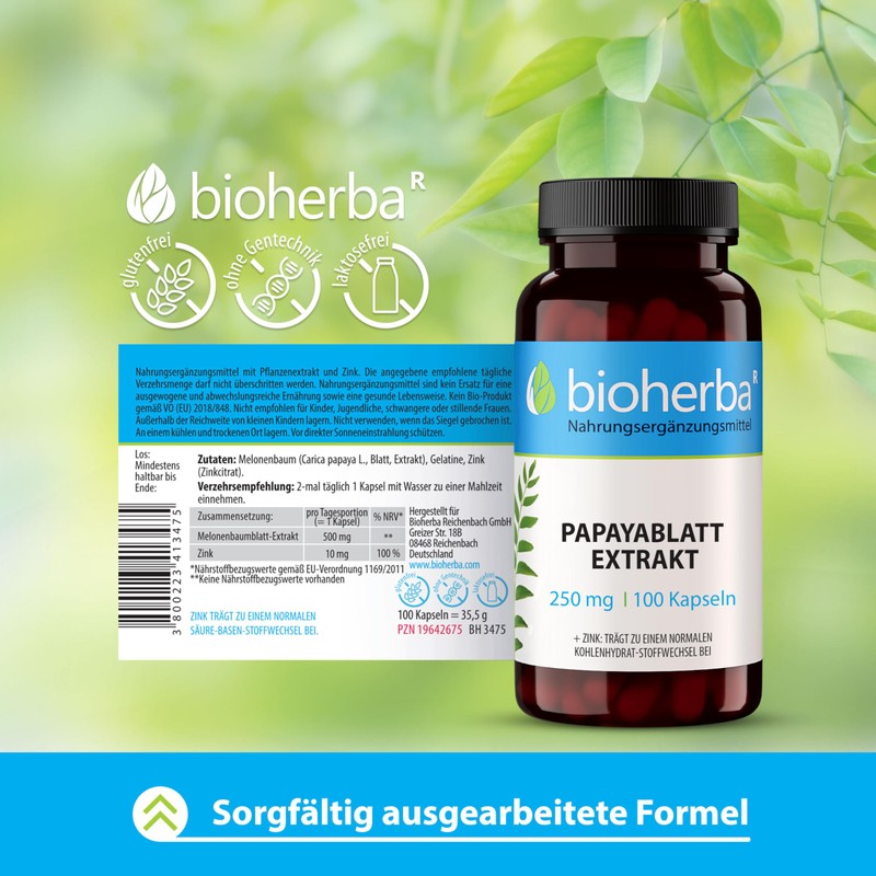 Papaya-Blatt Kapseln – 300 Stück mit 250 mg Papaya-Extrakt von BIOHERBA