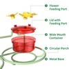 Window Hummingbird Feeder, Small Hummingbird Feeder for Outdoors with Strong