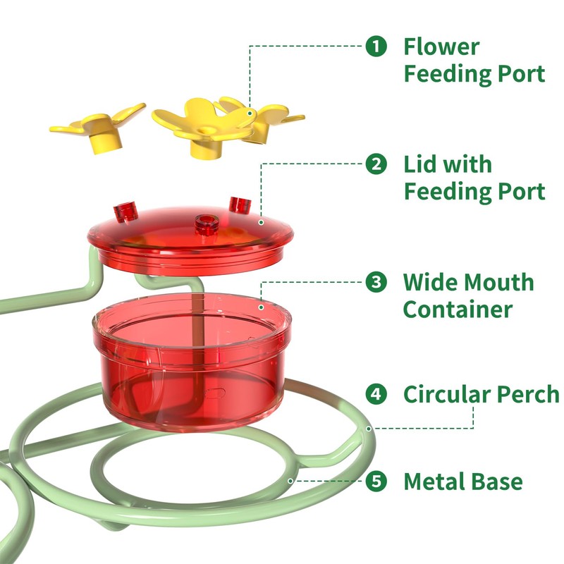 Window Hummingbird Feeder, Small Hummingbird Feeder for Outdoors with Strong