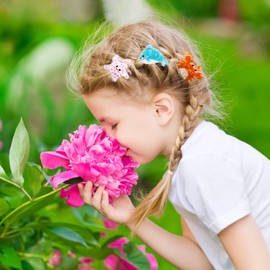 8PCS Sea Creatures Small Hair Claw Clips for Women and Girls Thin Hair Styling Accessories, Mini Ocean Claw Jaw Clips