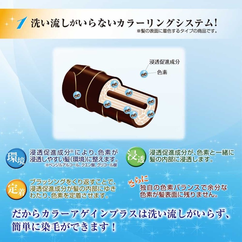 カラーアゲインプラス 自然な黒褐色 継続用 80mL