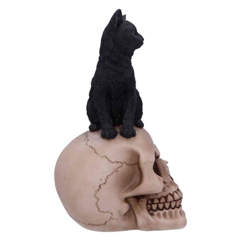 Nemesis Now Familiar Fate 24.3cm Black Witches Cat and Skull