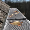 Air Jade Clip Fixed Hooks for Plastic Mesh Gutter Guards,