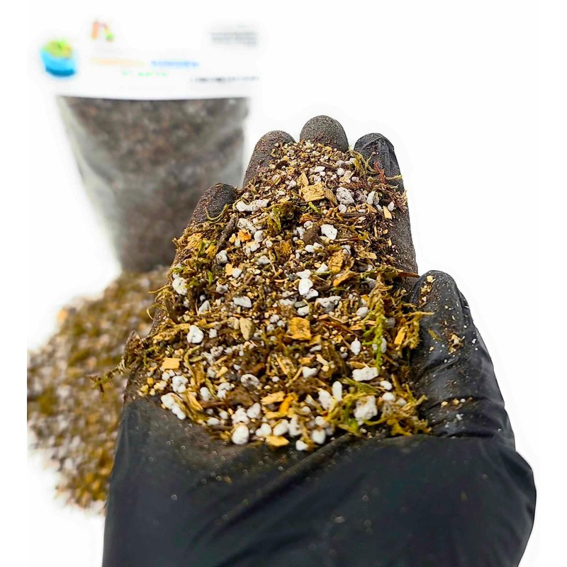 Complete Potting Soil For Tropical Sundew Plants (Medium)