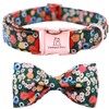 Lionheart glory Floral Print Dog Collar Adjustable Soft Dog Collar