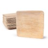 BOX And Tree | 25 x 20cm Biodegradable Biodegradable Compostable