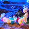Lorealri Boho Light Up Seashell Ankle Bracelet Led Adjustable Starfish