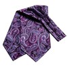 Hi-Tie Silk Ascot for Men Self Tie Men's Cravat and