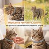 2 Collare Antipulci per Gatti, Collare Antiparassitario Sicuro ed Efficace,
