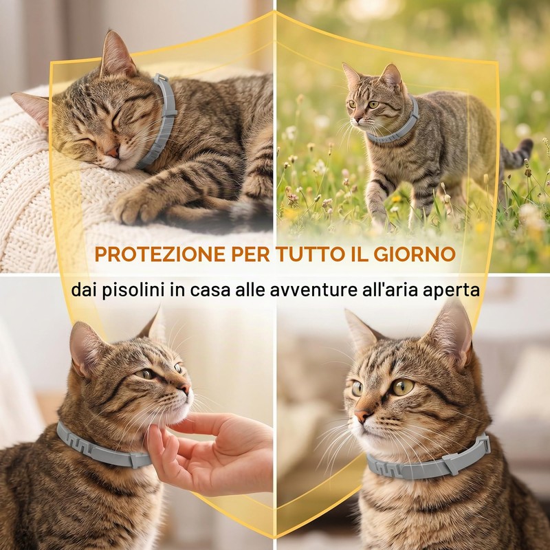 2 Collare Antipulci per Gatti, Collare Antiparassitario Sicuro ed Efficace,