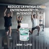 BDM-LIFE L-Carnitina con Cafeína, Té Verde y Guaraná, Energía y