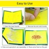 Loocaa 10 Pack Sticky Traps Boards - Multi-Use Pests Sticky