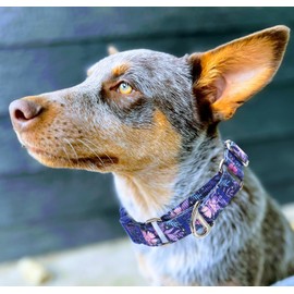MAOWUWUJOZ Collar Martingala para perros - Collar resistente antideslizante con nailon reflectante, hebilla de liberación rápida y estampado floral bohemio para entrenamiento, paseos y perros sobreexc