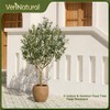 VeriNatural Artificial Olive Tree 6FT - Large Fake Olive Trees