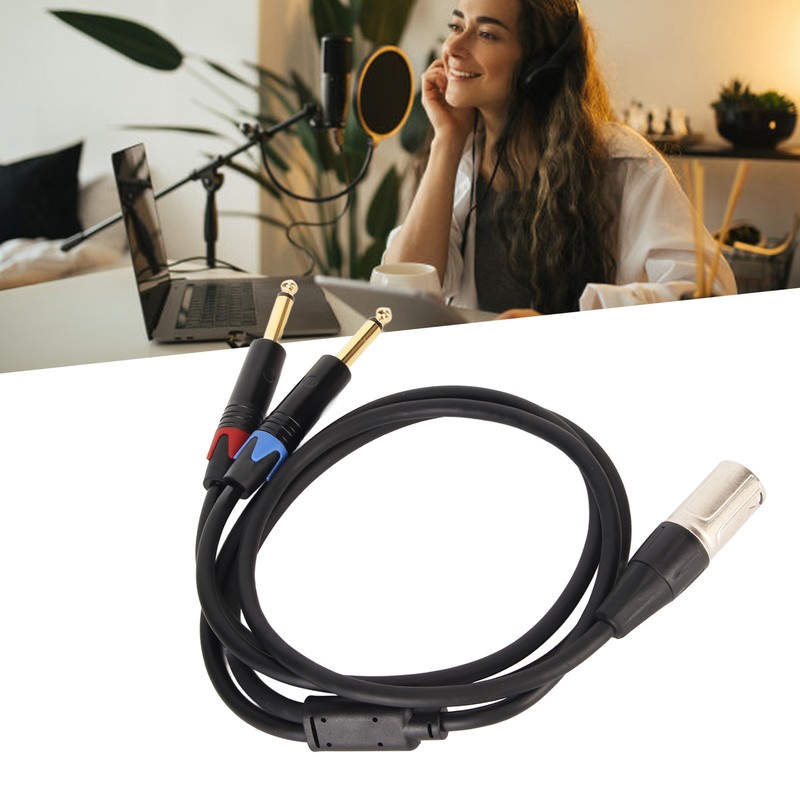 Dual 1/4 Inch to XLR Male Y Splitter Cable XLR