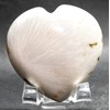 2.4" 110g Sooft Pink White Scolecite Sprays Carved Heart Polished