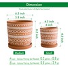 D'vine Dev Set of 2 Terracotta Pots, 4 Inch &