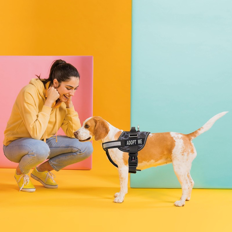 Dogline Adopt Me Vest Patches – Removable Adopt Me Patch