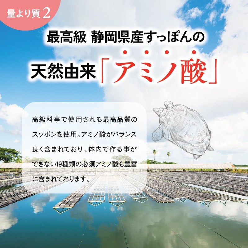 【公式】海乳プレミアム 亜鉛 アミノ酸 サプリ シリーズ最高ランク 高配合 実績20年 静岡県 すっぽん 広島県産