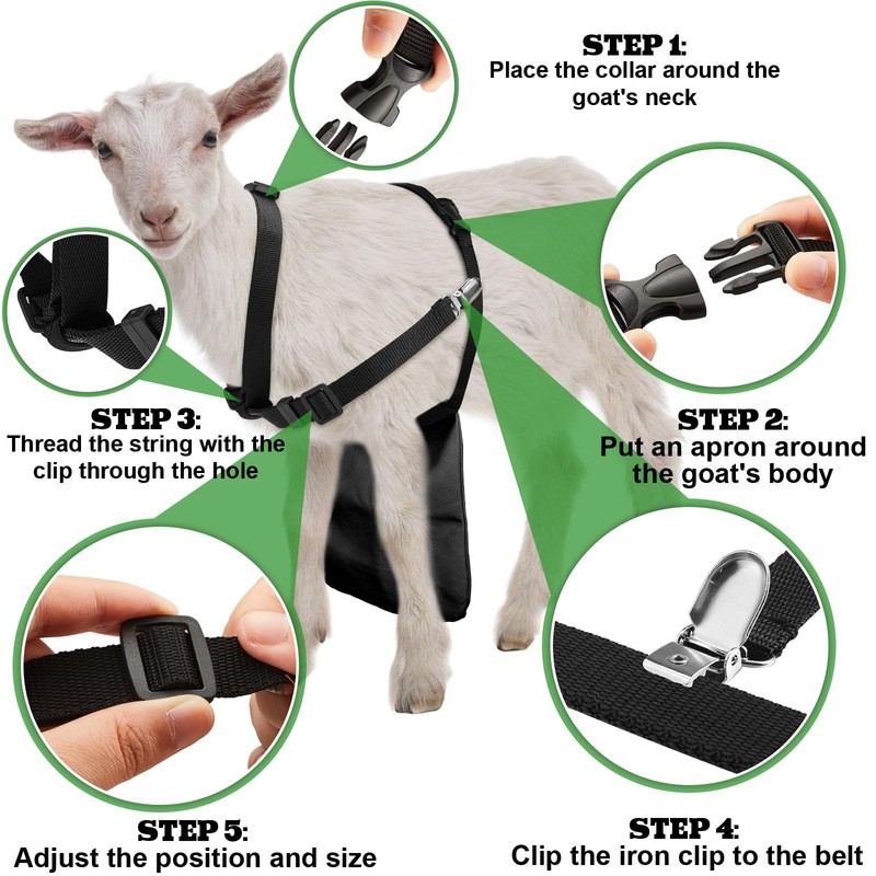 Kajaia Goat Apron Anti Breeding Sheep Skirt Control Buck Anti