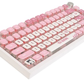 Ussixchare Cat Paw Keycaps Cute Pudding Keycaps ASA Profile 60 Percent 60% PBT Key Cap Set for Cherry Mx Gateron Kailh Switch for 60% 65% TKL Keyboards(Cat Paw)