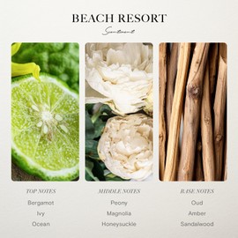 Scentiment - Beach Resort Hotel Collection Diffuser Oil | Aromatherapy Fragrance Inspired by 5-Star Hotels | Luxurious Scent with Notes of Bergamot, Ocean, Peony with Amber & Sandalwood (20ml)